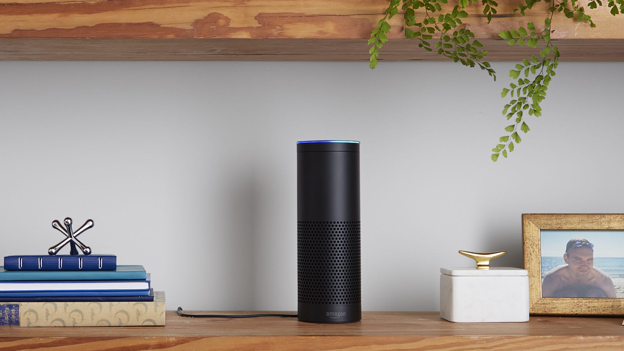 amazon echo tower